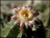 littlemiss's Avatar